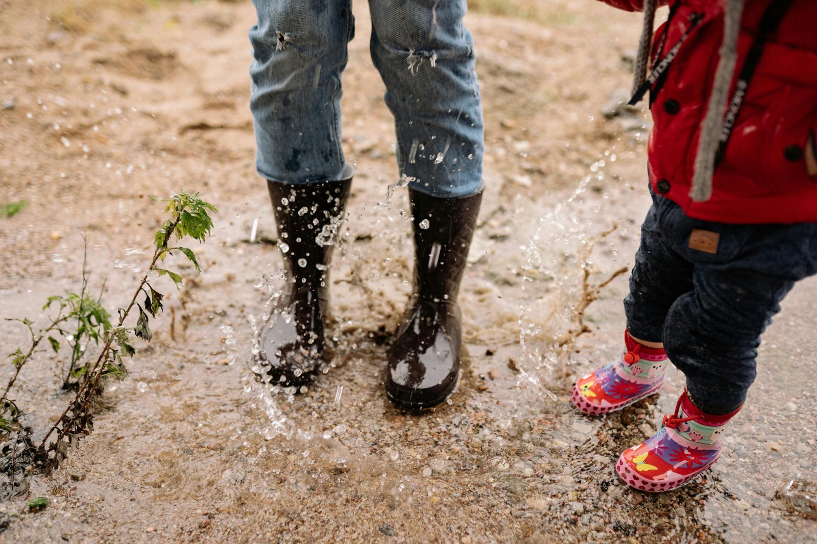 Groundwater recharge of rainwater filtered by Rainable filters