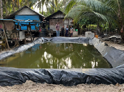 An HDPE-lined rainwater harvesting pond beside village homes and coconut palms