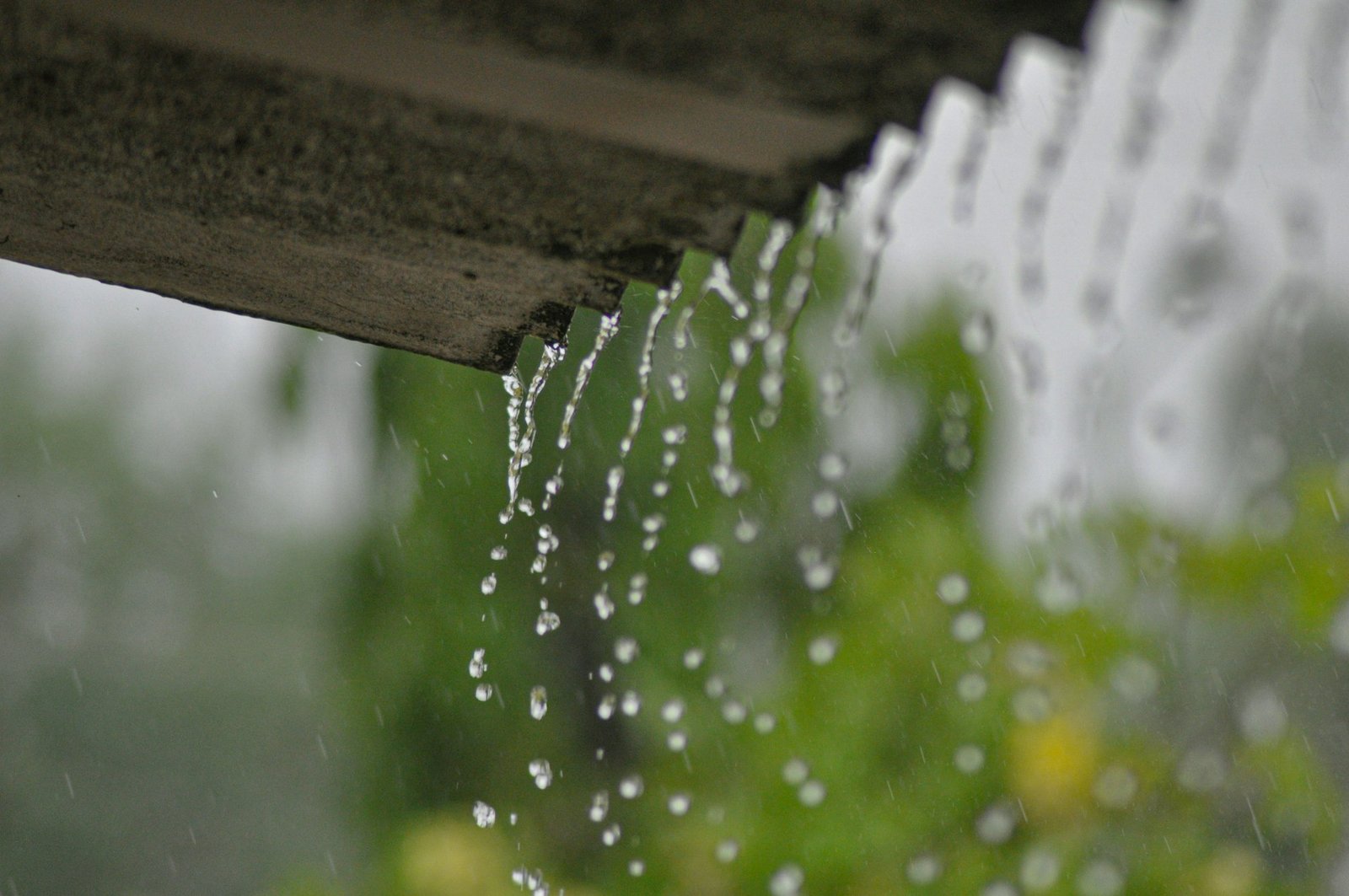 How to Choose the Right Rainwater Filter for Your Indian Home — A Complete Buyer’s Guide 2026